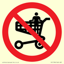 p925-prohibition-no-standing-in-trolley~